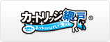 カートリッジ網戸Ⅱ