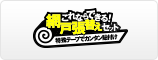 これならできる網戸張り替えセット